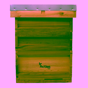 National Beehive w/Flat Roof | Western Red Cedar (Pallet of 32 hives)