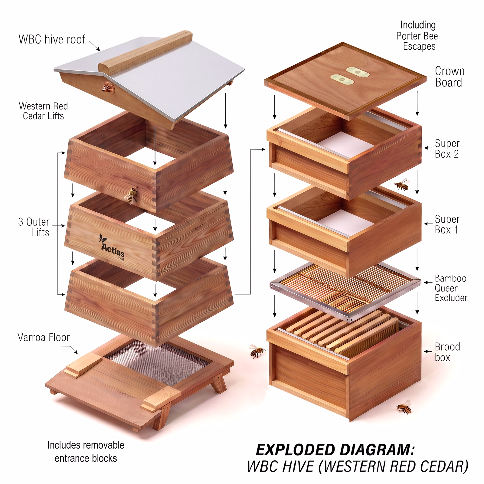 WBC Beehive w/Gabled Roof | Western Red Cedar - Image 4