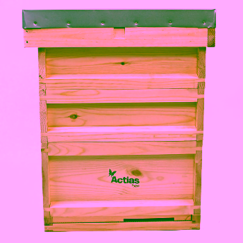 Starter Kit - National Beehive w/Flat Roof | New Zealand Pine